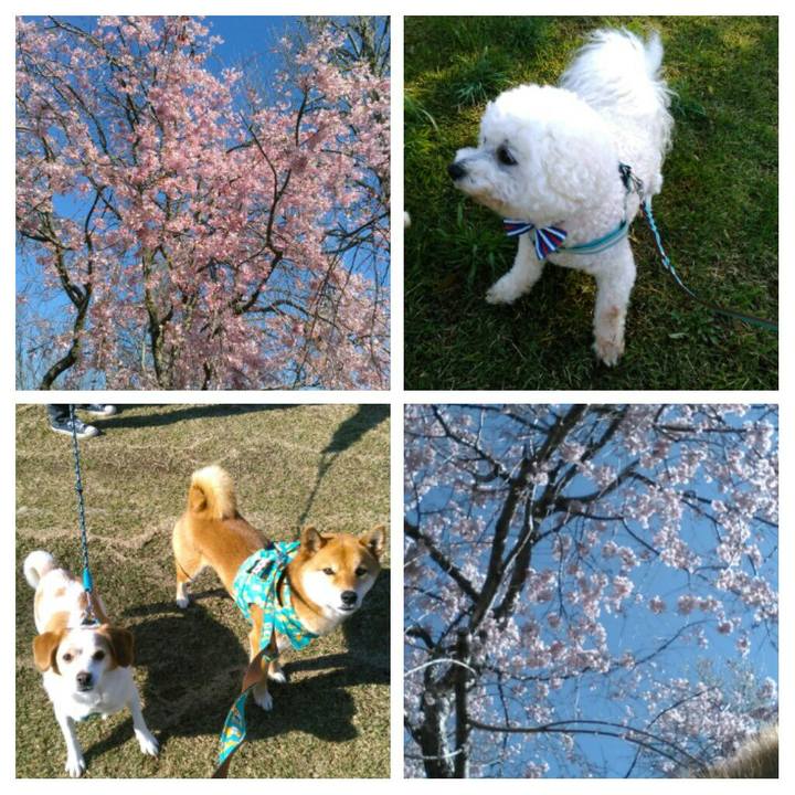 35c580aa b1e7 4826 9c20 eff7bbbadb78