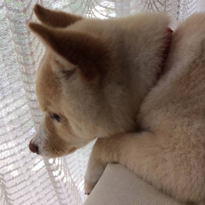 35c5e4ec 4b88 4fdb b88a 5f13e7525004