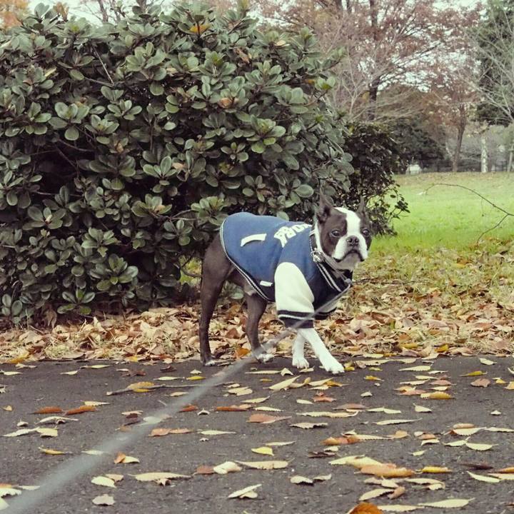 35c611a3 b587 48e5 b6ff 742703ee6a4f