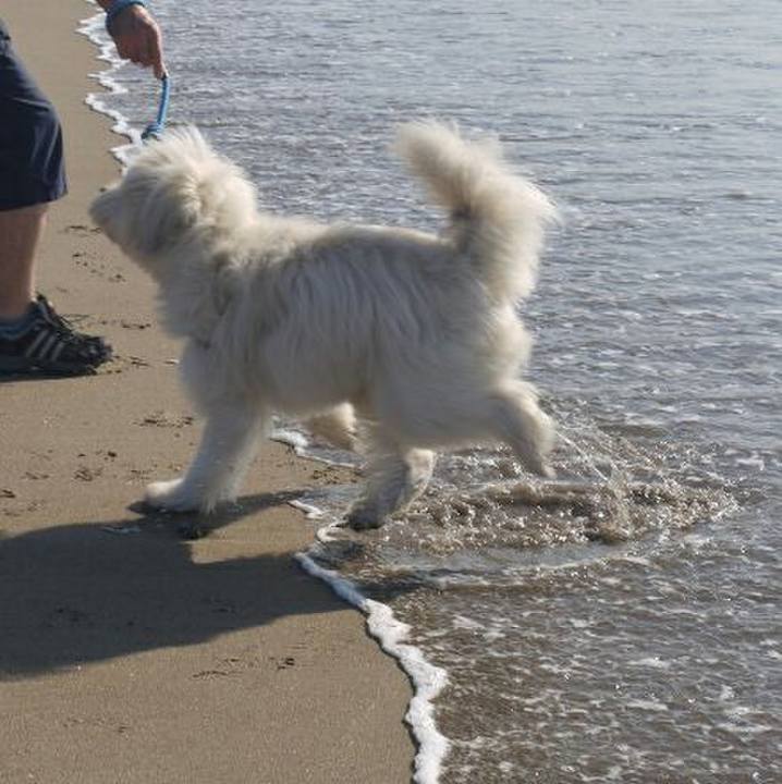 35c6a750 363b 43d1 a0af 7dc0e31fba14