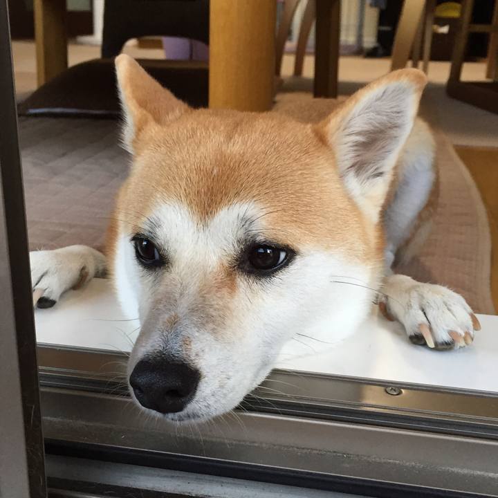 35c6ba68 3492 4718 ae10 9583e6b5f5b9