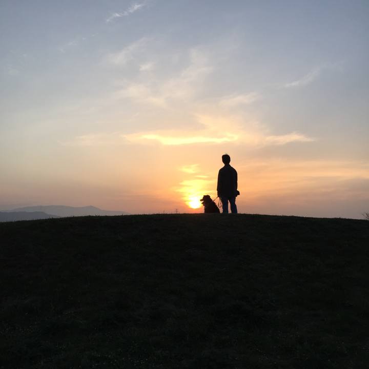 35c6d975 f690 494f a1ad 5a05718496e3