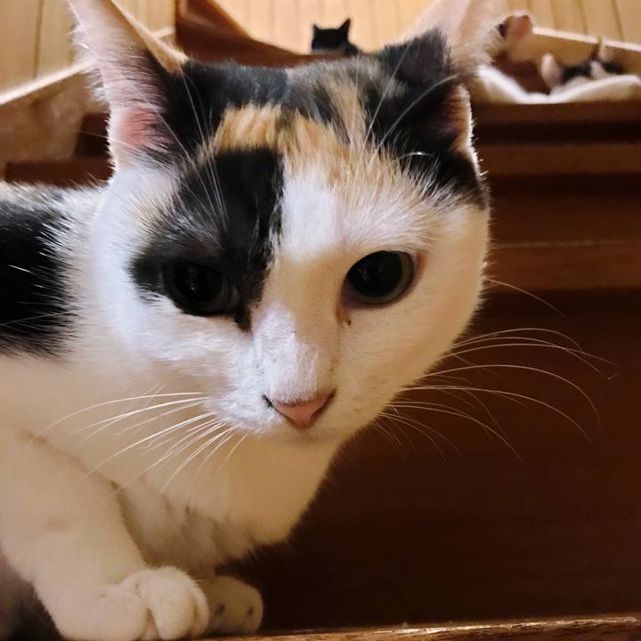 35c6dda0 5a7e 41bf 9723 d6db22545ae4