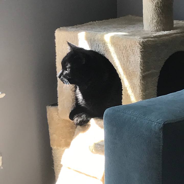 35c79d6f 6464 4d0b ab51 27edd2ab93f5