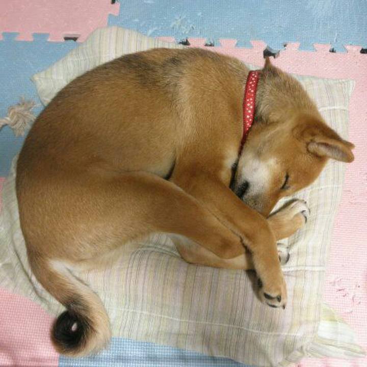 35c7afba 076f 42cf b5f2 ad5c631c5bc4