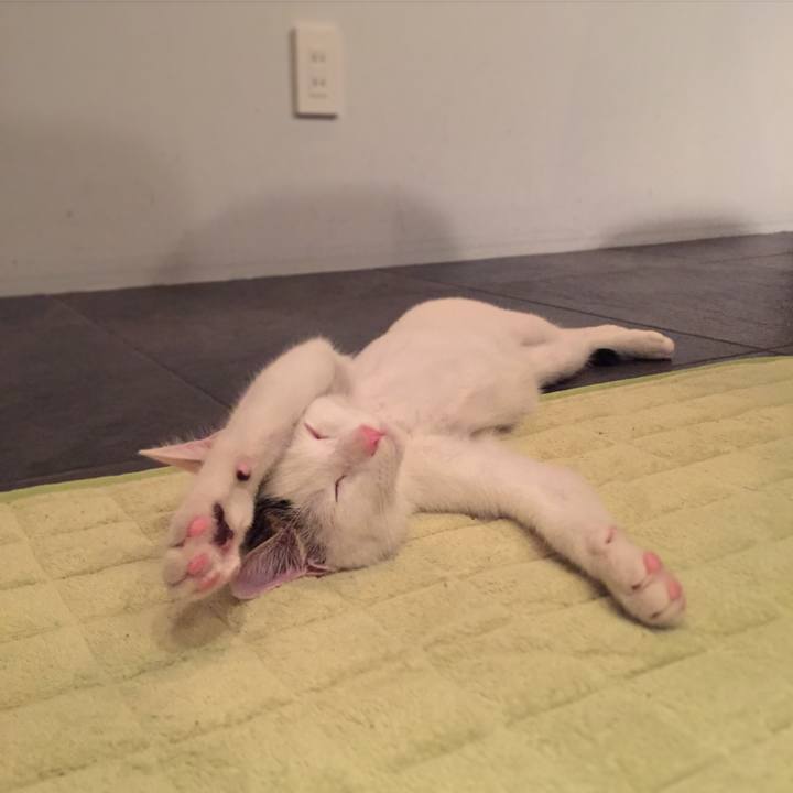 35c80a33 7e5b 4614 b565 acb7f8e09ad1