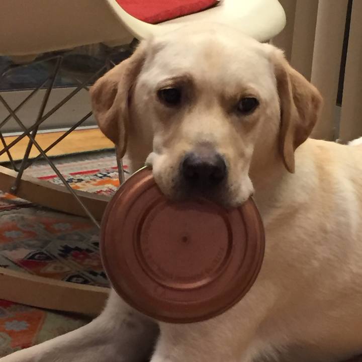 35c8adfd 96f5 40a0 8a9d 853d5ba54107