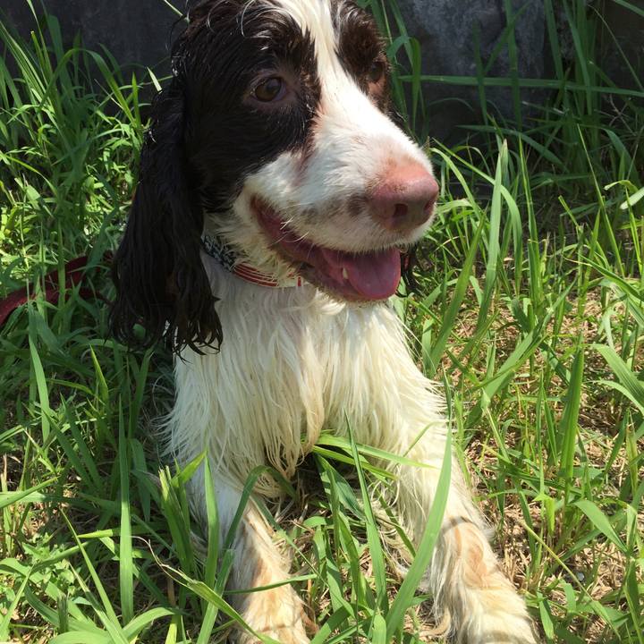 35c8c864 50b4 49bc 9cb3 fe6b42ea99fc