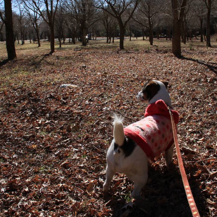 35c927ac afa2 4705 8678 ec705f8b9b21