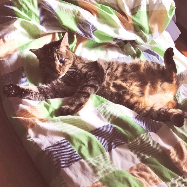 35c931e6 56c2 48cf b8e3 5fd17471de4c