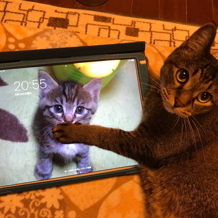 35c9468c 35e1 4891 8328 81365388256d