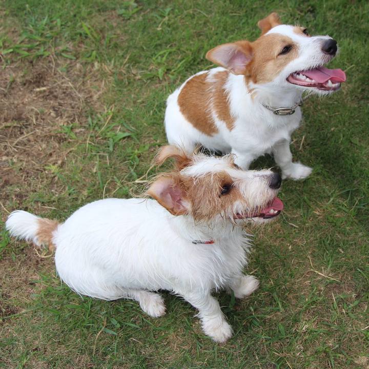 35c96b66 e1d4 4019 bf37 4909d62e1e63