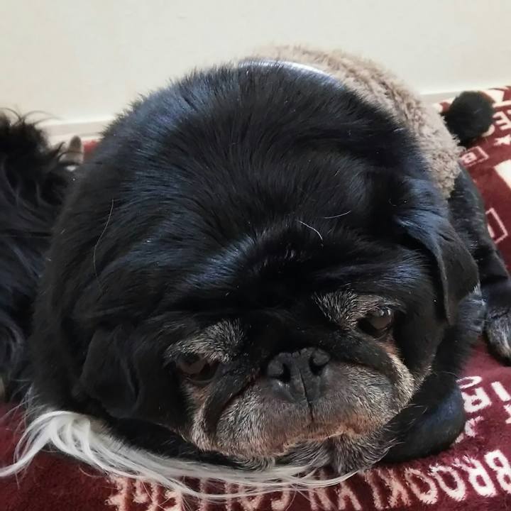 35c98da7 9b18 466e 830e c1bd4f797cbd