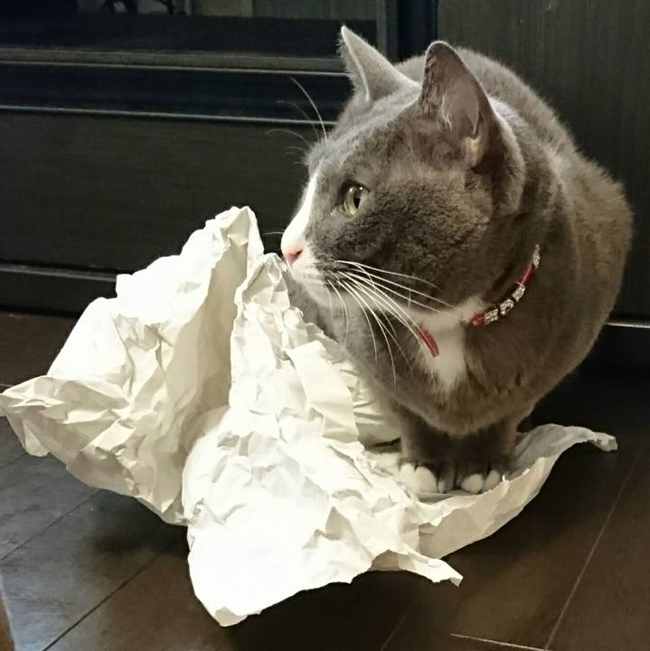 35c9db56 5aa2 4ab7 a0f7 5dd5ffeea521