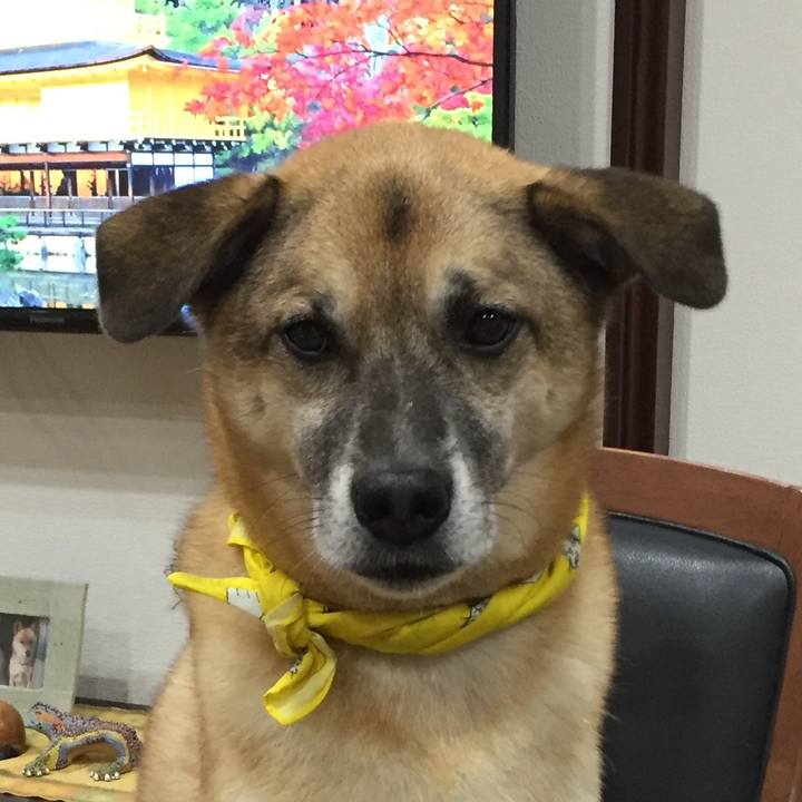 35ca06aa 75fb 492e b913 eb00acf0f0c6