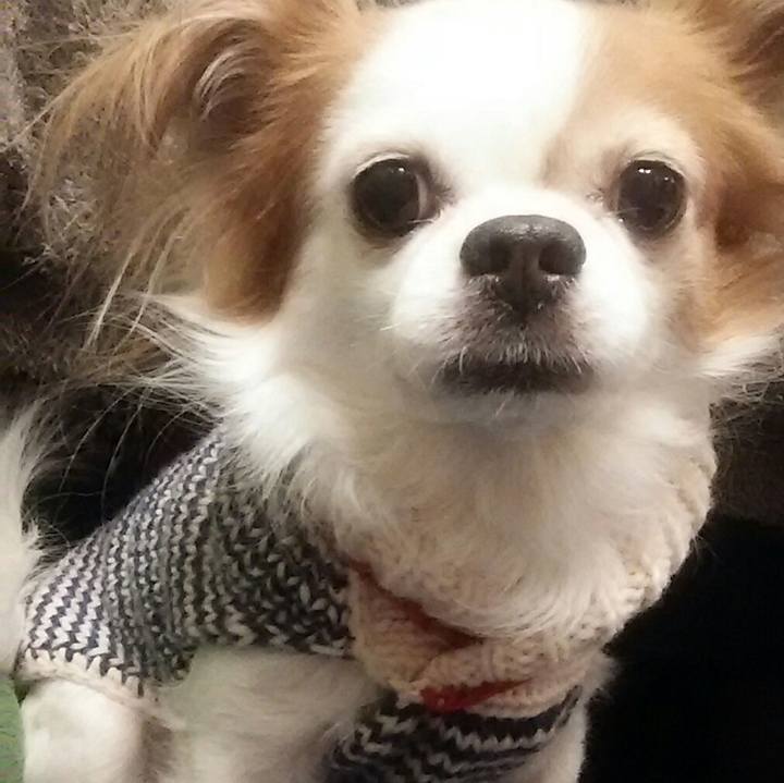 35ca46ce becb 4c37 8243 b36ac3451e6d