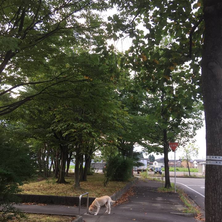 35ca4830 e3dc 474b a9b9 91d39a7da3ad