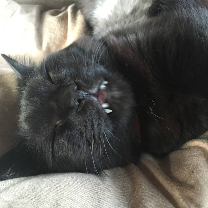 35cb31d8 de7e 4b24 be63 8434e519c74b