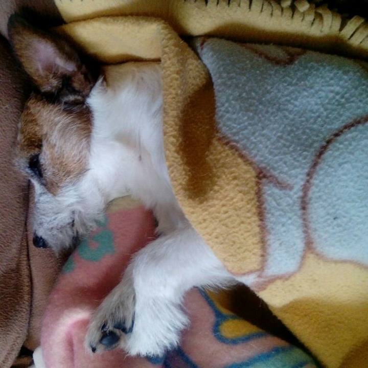 35cb3739 af39 4d67 9c97 6670aa98f8a7