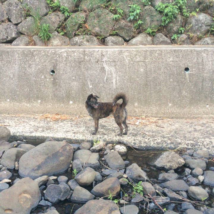 35cb8de0 3084 49e8 80f2 ad721ef0ef8e