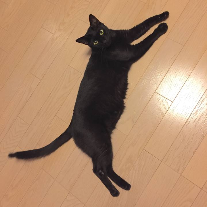 35cbb8c8 7c6b 4045 bb9b 941902a8cf8a