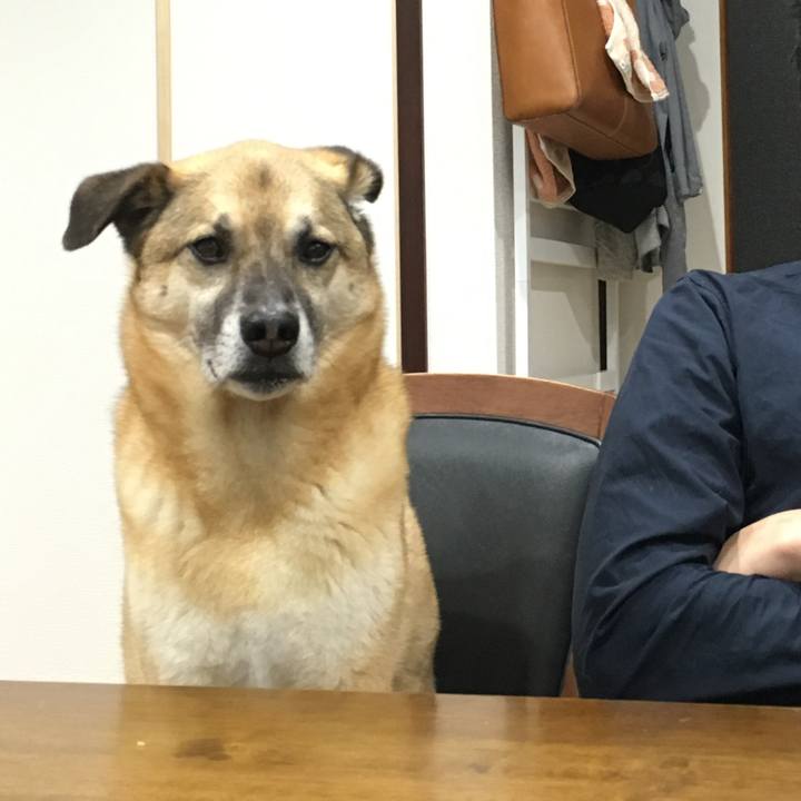 35cd18df a3c5 4c53 b6a6 775f6b0fa1d1