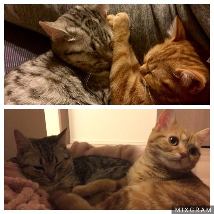 35cd62a4 e1ce 4d9f a844 a415e5c7e855