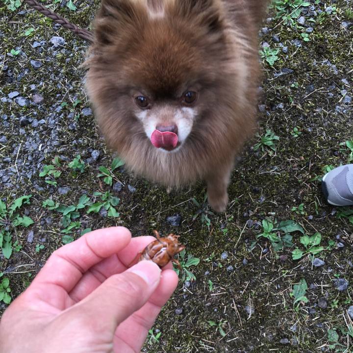 35cdbc39 50be 45ed ab03 a42e01acfd2d