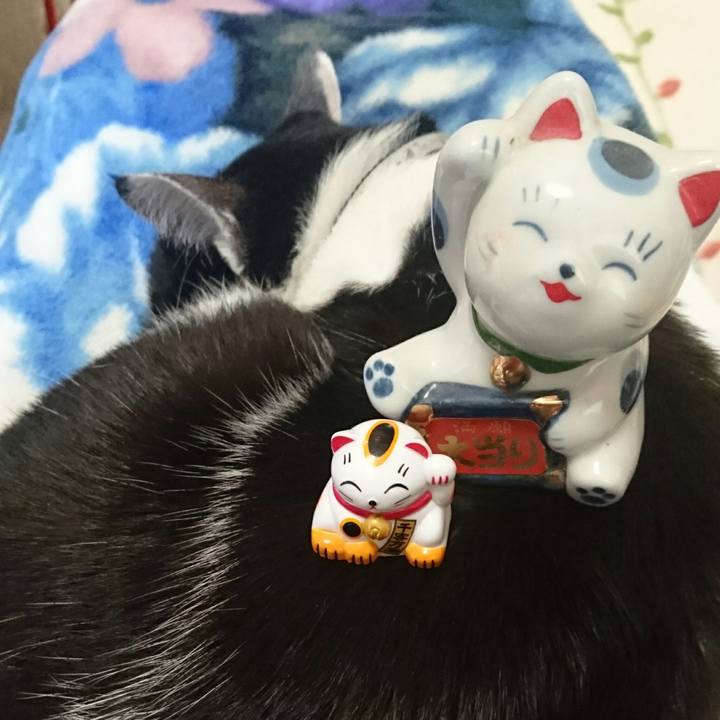 35cdfb8b 8447 46e0 b7b8 e3ed86977350