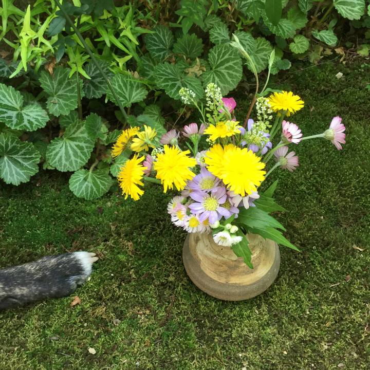 35ce5983 5581 4342 9315 7b32e538db70