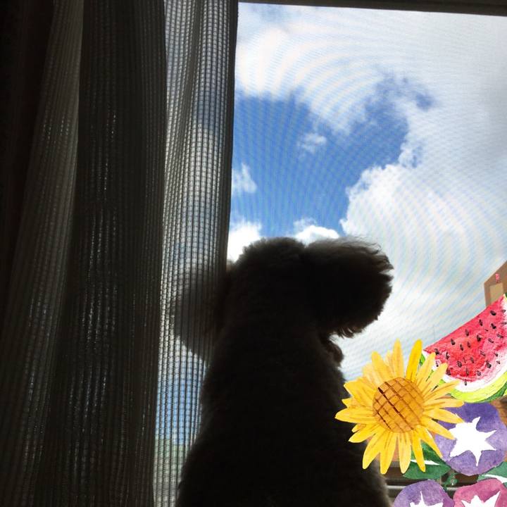 35ceaedb 66b7 4431 a967 80254886aa32