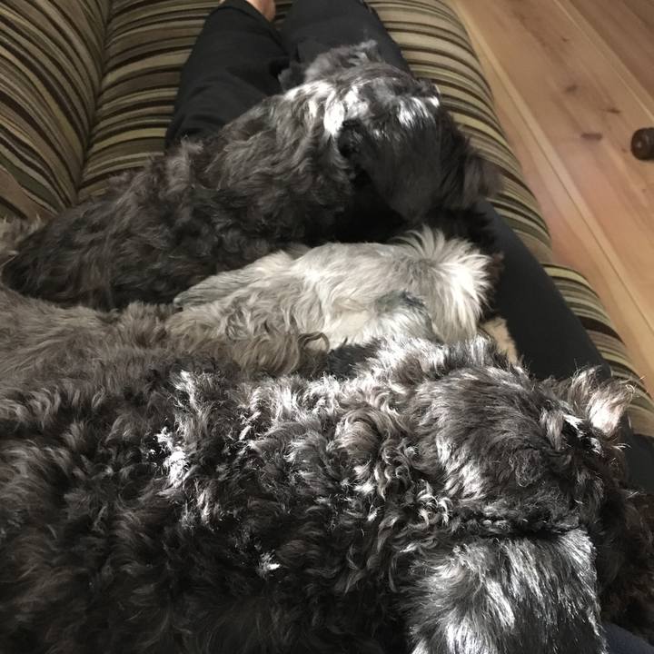 35ceee1c 7bab 4322 a738 ef1efad96d09