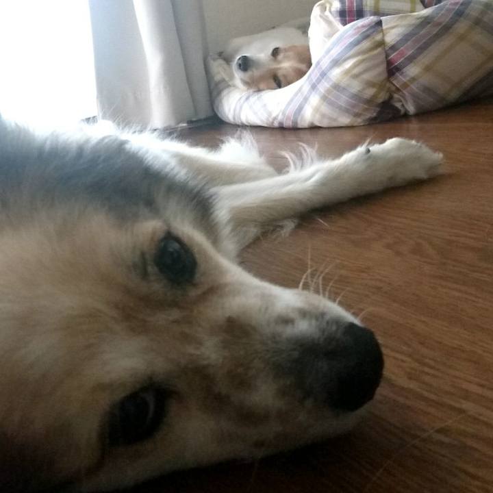 35cf1a5e 0ab2 422f 8beb 0d4f2c6a2352