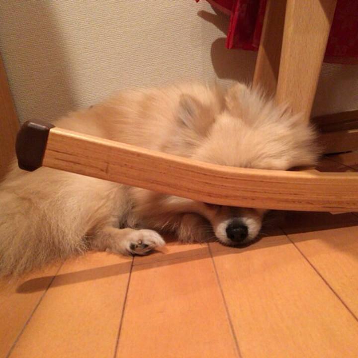 35cf426b 4a7f 487b 9df7 cd914b326082