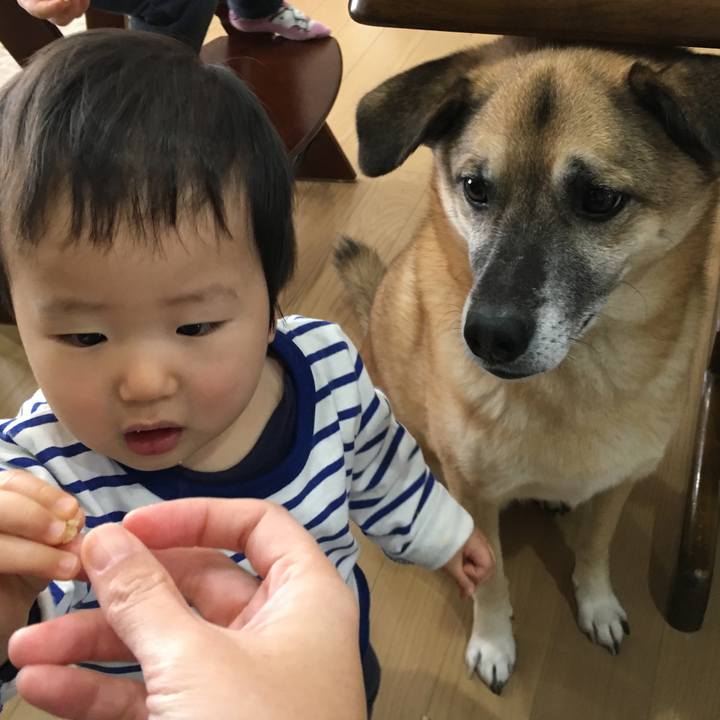 35cf76fb 316b 4d18 84ce 6d1334f5cba6