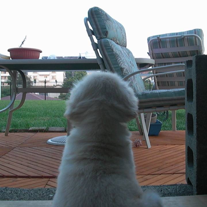 35cfd287 8a99 4c48 873a bf0a68e655bb