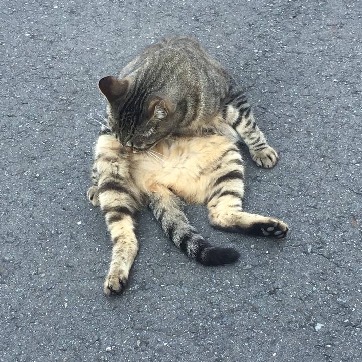 35d0583a 917e 42a6 8f9c 52324890e998