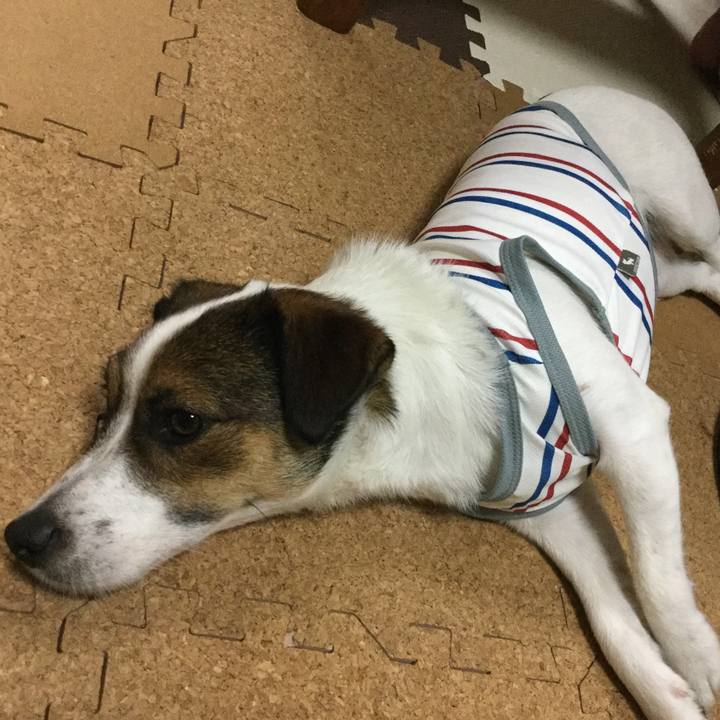 35d0e872 6158 4a7f 9937 8ec7cb23c05f