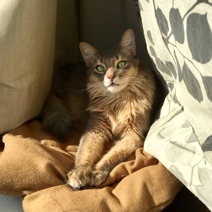 35d1c5c6 fee6 44b9 a4cb 16ee300fb4f7