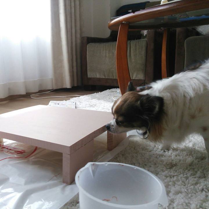 35d3f424 3215 4566 bb55 25ee206af6e4