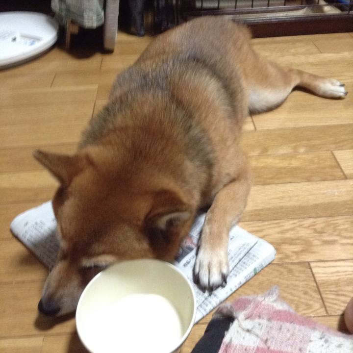 35d44575 8071 4bb8 a724 b155c4093895