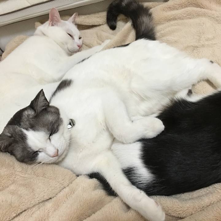 35d45308 1e0d 46f0 ac98 b570b5cf49ae