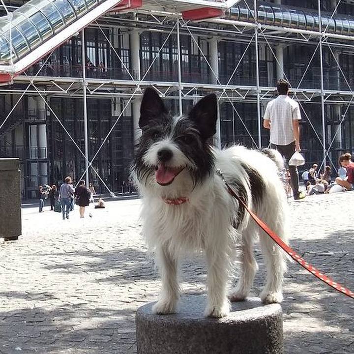 35d4699a 6f72 4559 8d25 643abd7ba0e4