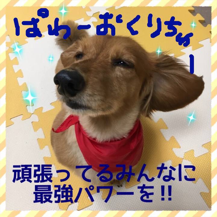 35d47894 426e 4f9e a19f f7ed4fed6011