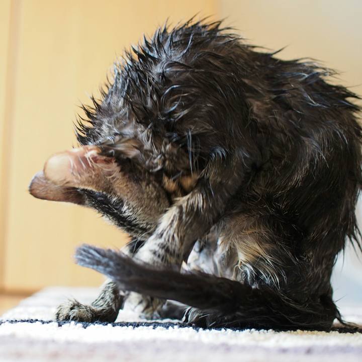 35d5356a 9bed 4d5f 9ab6 316e504f00d9