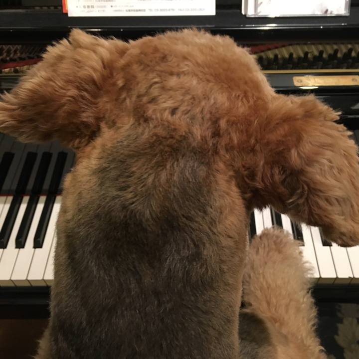 35d5774a 86d6 4a10 852d 0dc70be86524