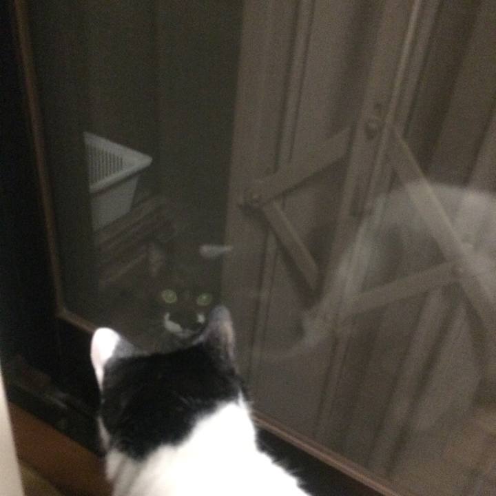 35d5e525 0836 4cd7 b954 71402362c3c8