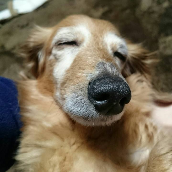 35d6f56c ff2c 4672 93f9 cabb61775cde