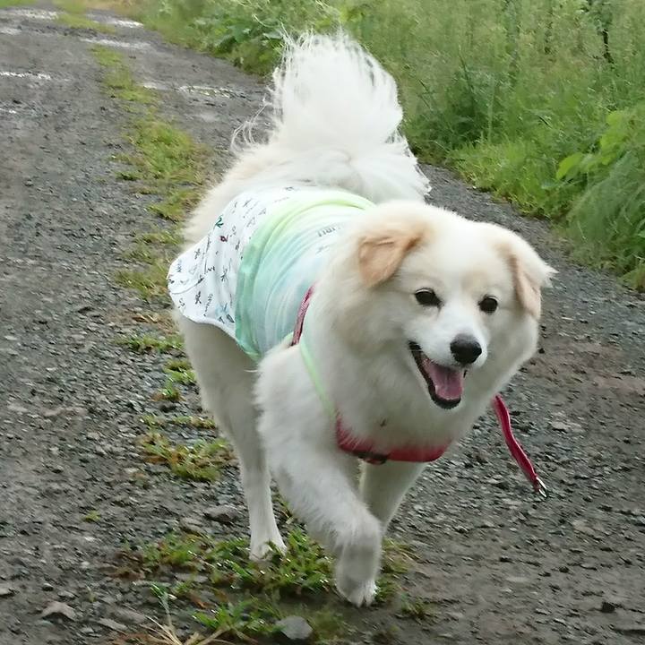 35d75b0b 9424 4517 a592 e1ee3605e3c4