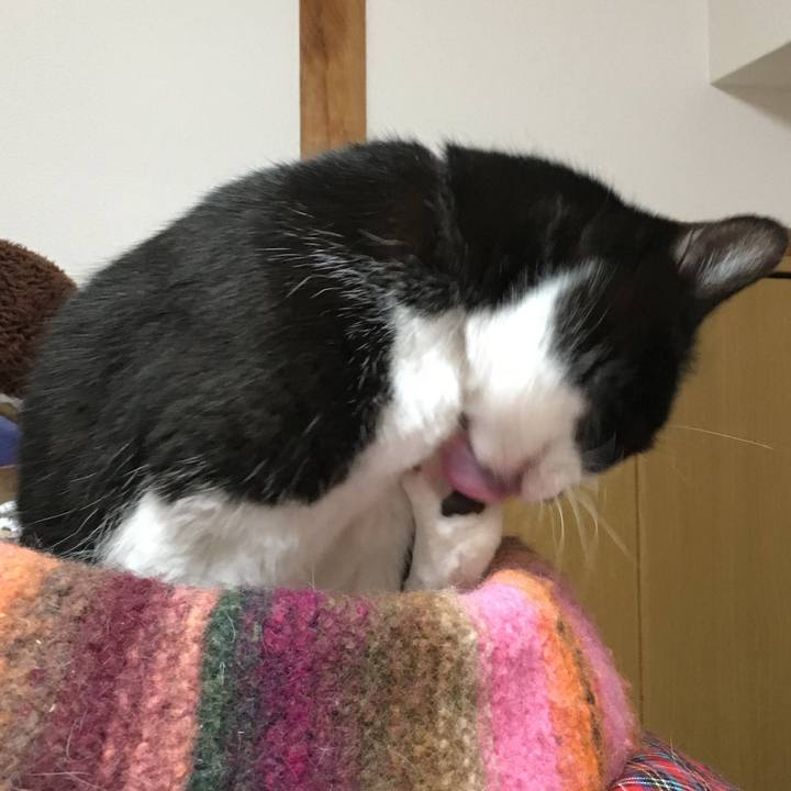 35d7a1b0 0f80 460f a4d0 488c4c3e1d0d